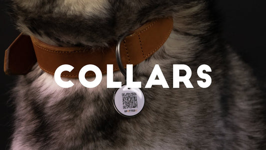 Spotted! Pro Leather Collar Cognac 3 x 65 cm