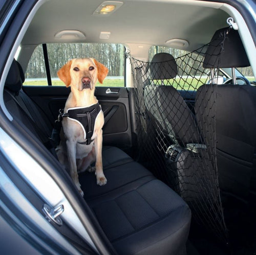 Filet de Sécurité Auto pour Chiens