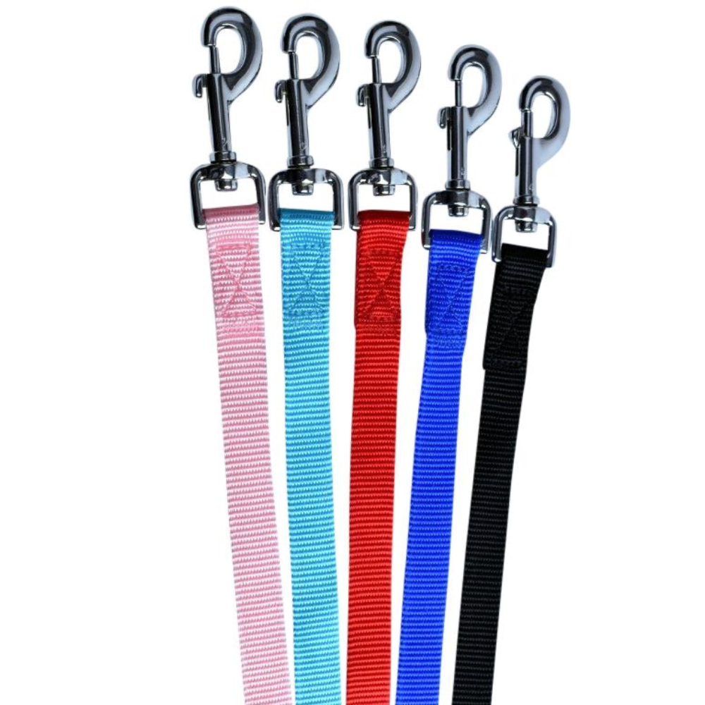 Topmast Hondenriem - Duurzaam Nylon - Sterke Musketonhaken - Lichtblauw