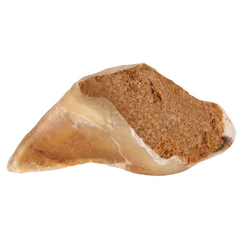 Sabot de bœuf garni au pâté – Friandise naturelle pour chien