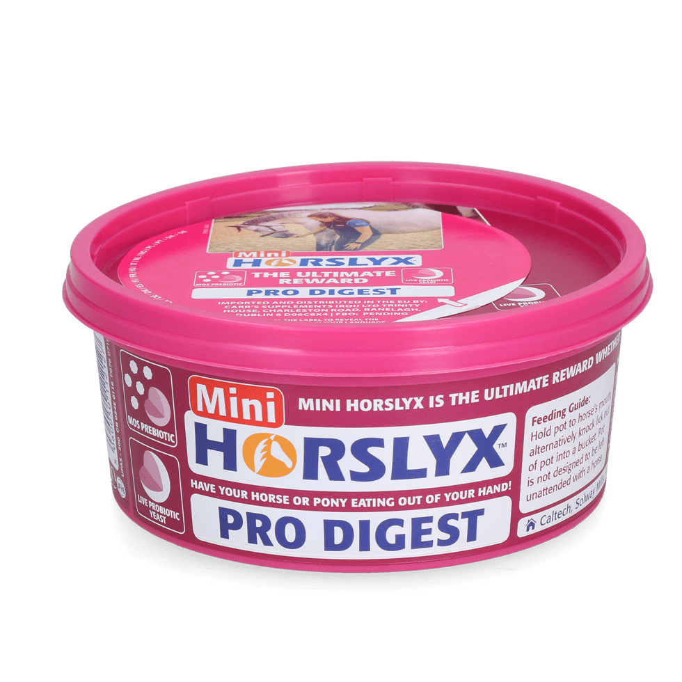 Horslyx Mini – pierre à lécher 650 g - Trufféo
