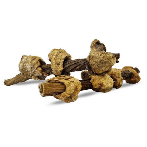 Sheesh Kebab – Friandise naturelle séchée pour chien 500g
