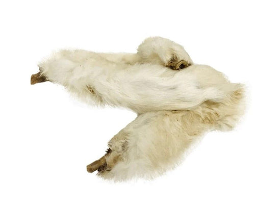 Pattes de lapin séchées avec poil – Chikko Quality – 100 g