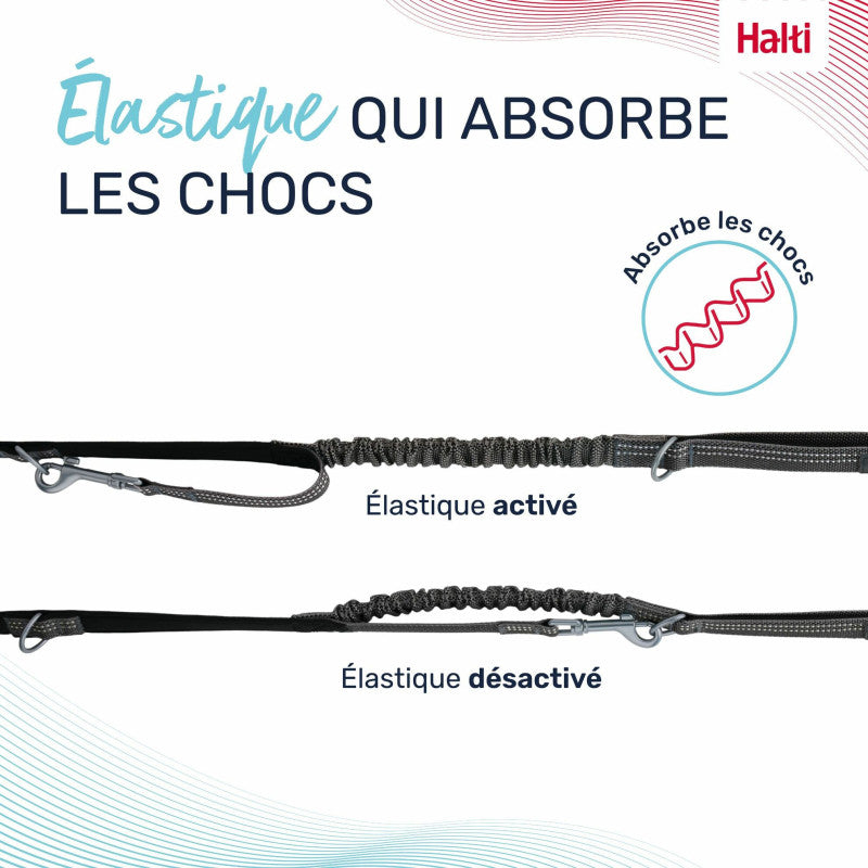 Laisse Multi-Position Anatomie Halti – 2 m, Jusqu'à 25 kg HALTI
