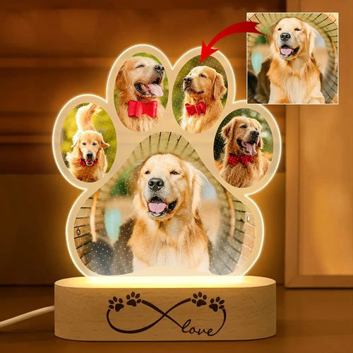 Personalized Dog Cat Pet Photo Night Light Custom Acrylic USB LED Lamp Animal Picture Decorative Lighting Sentimental Keepsake