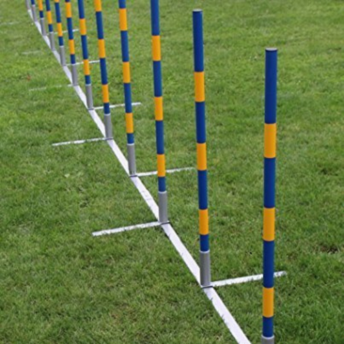 Ensemble de slalom d'agilité professionnel Topmast - 12 poteaux - Droit
