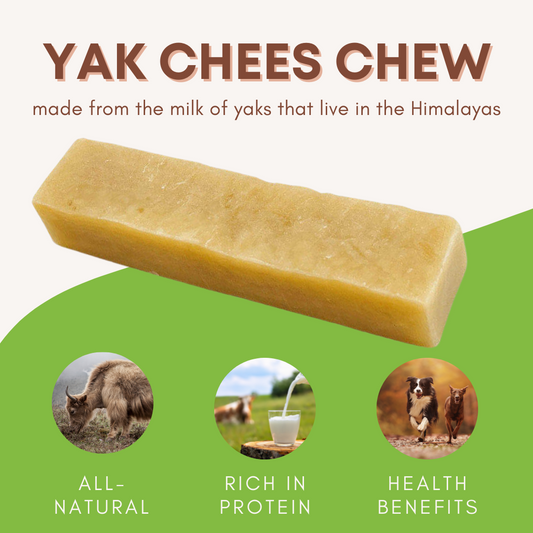 Fromage de yak Ă mĂącher pour chien