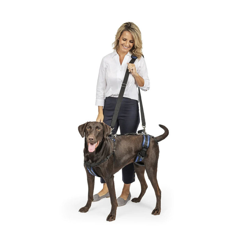 Harnais de levage CareLift PetSafe