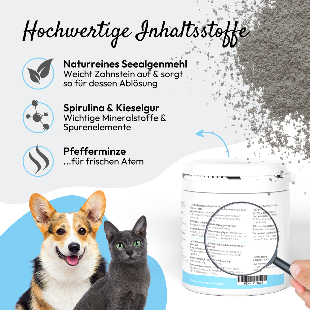 PHA protège-dents PLUS pour chiens et chats Kauartikel.com GmbH
