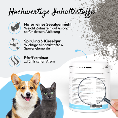 PHA protège-dents PLUS pour chiens et chats Kauartikel.com GmbH