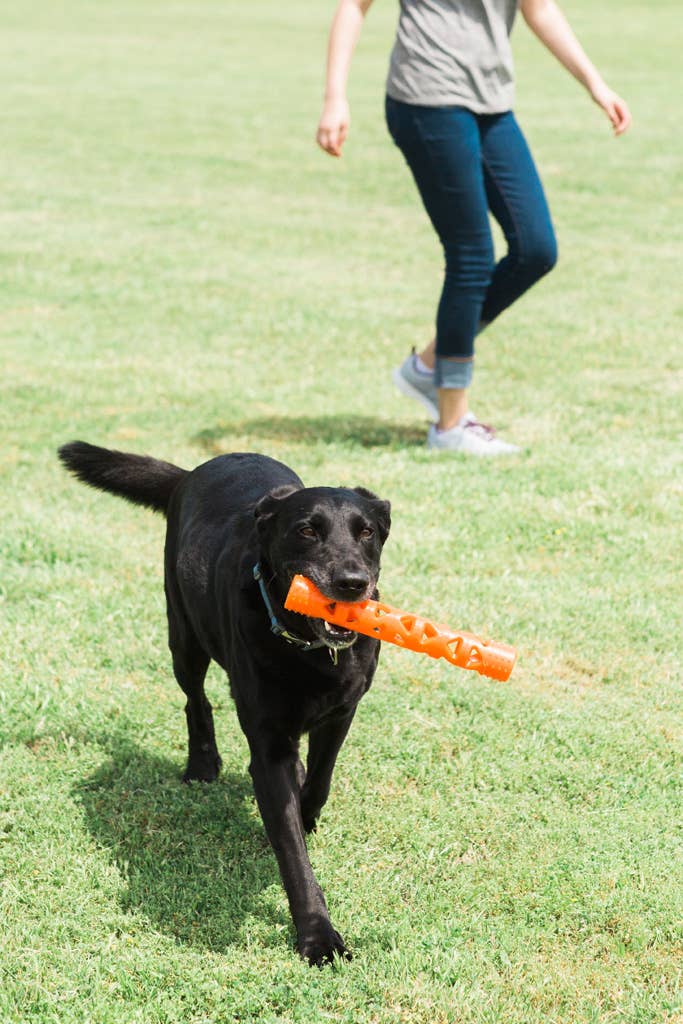 Chuckit! Bâton de Lancer Air Hofman Animal Care