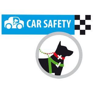 Veiligheidsgordel - Op reis met je hond? In veel landen verplicht