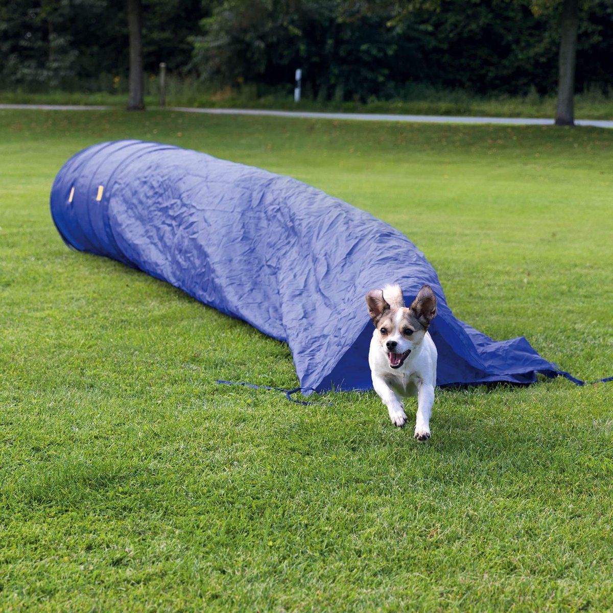Topmast Agility Tunnel - 5 Meter - Zaktunnel