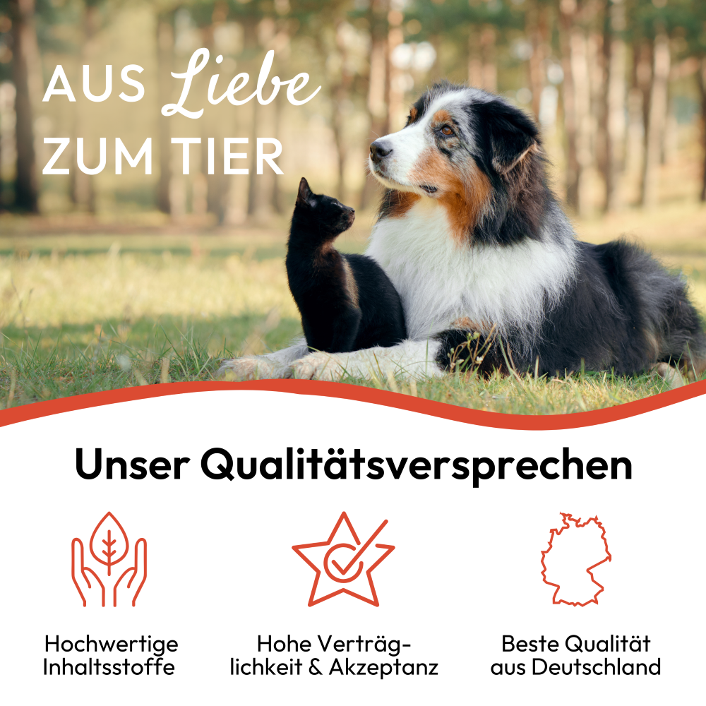 PHA spray anti-puces et tiques pour chiens et chats 100 ml Kauartikel.com GmbH
