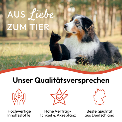 PHA spray anti-puces et tiques pour chiens et chats 100 ml Kauartikel.com GmbH