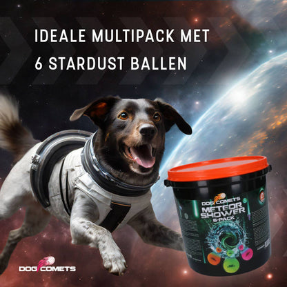 ☄️ Pluie de Météores Dog Comets – 6 Balles + Seau de Nettoyage Hofman Animal Care