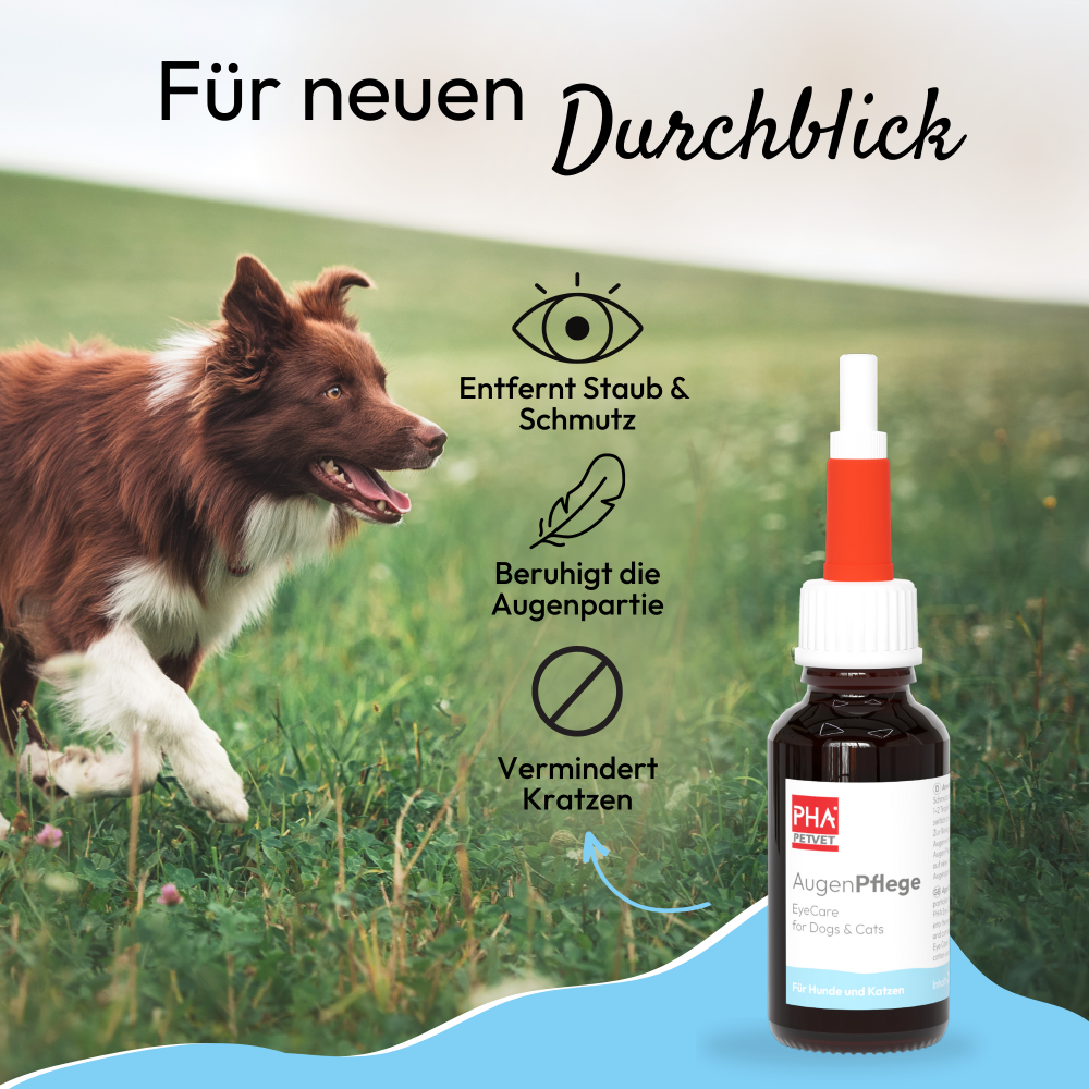 Soin oculaire PHA pour chiens et chats 20 ml Kauartikel.com GmbH
