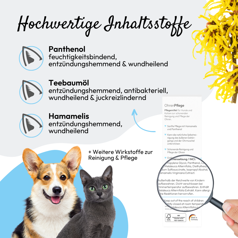 Soin auriculaire PHA pour chiens et chats 100 ml Kauartikel.com GmbH