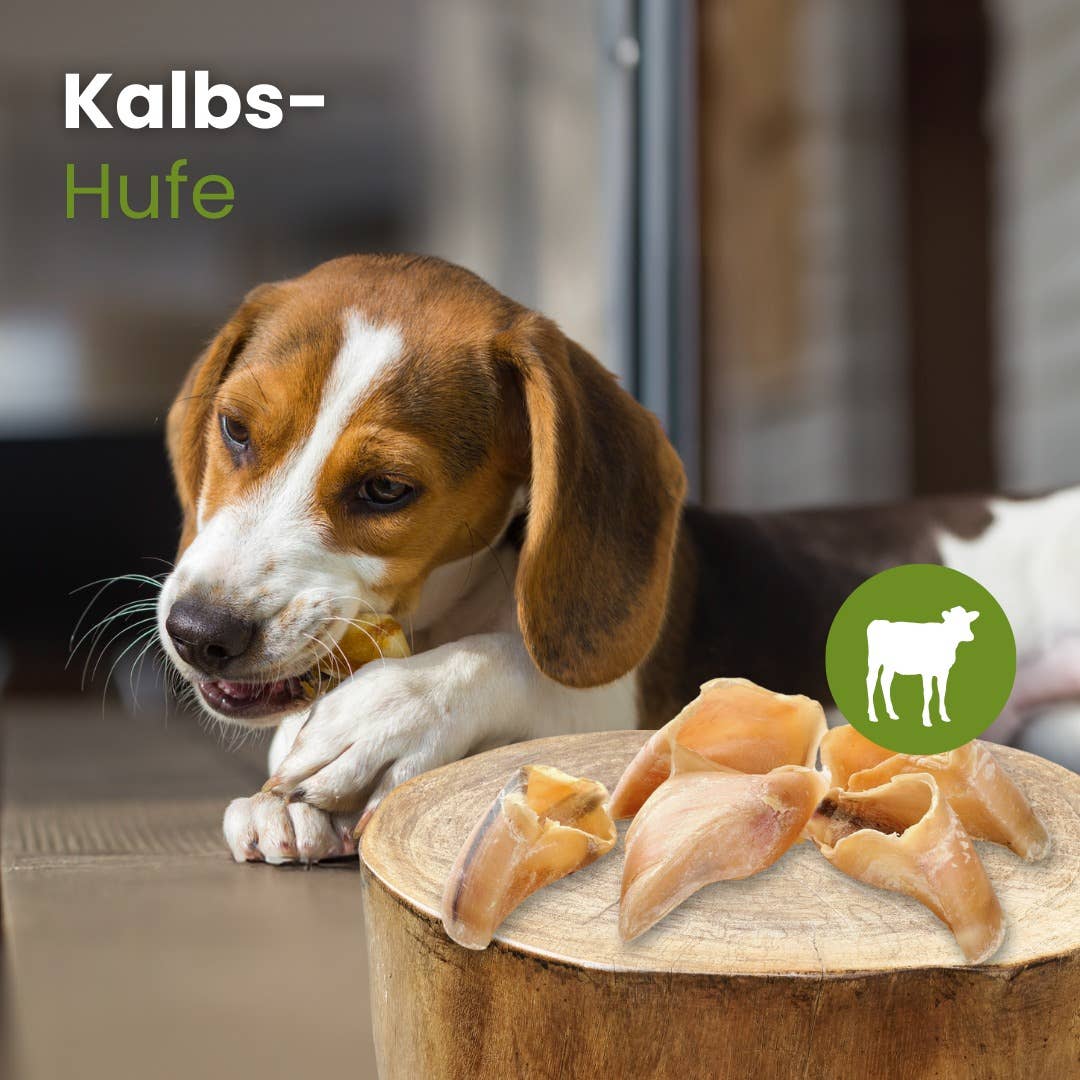 Sabots de veau naturels pour chiens