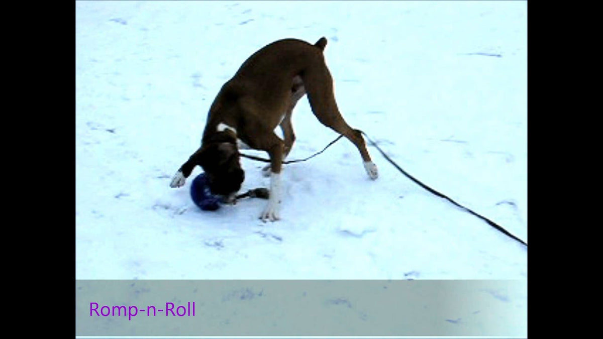 Jolly Romp-n-Roll Blueberry M (15 cm)