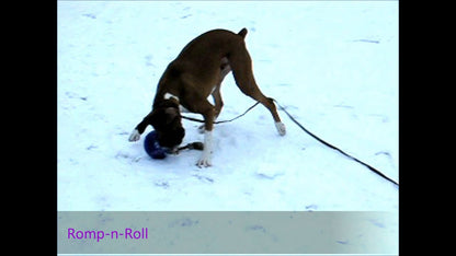 Jolly Romp-n-Roll Blueberry M (15 cm)