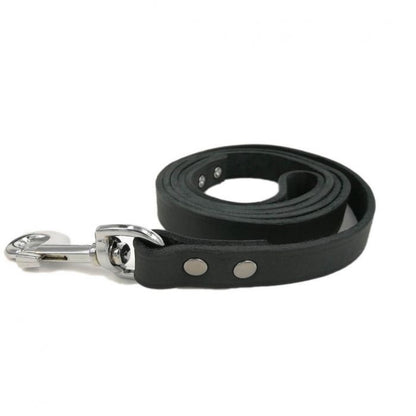 🦮 Laisse ou collier en cuir gras noir - Topmast Trufféo