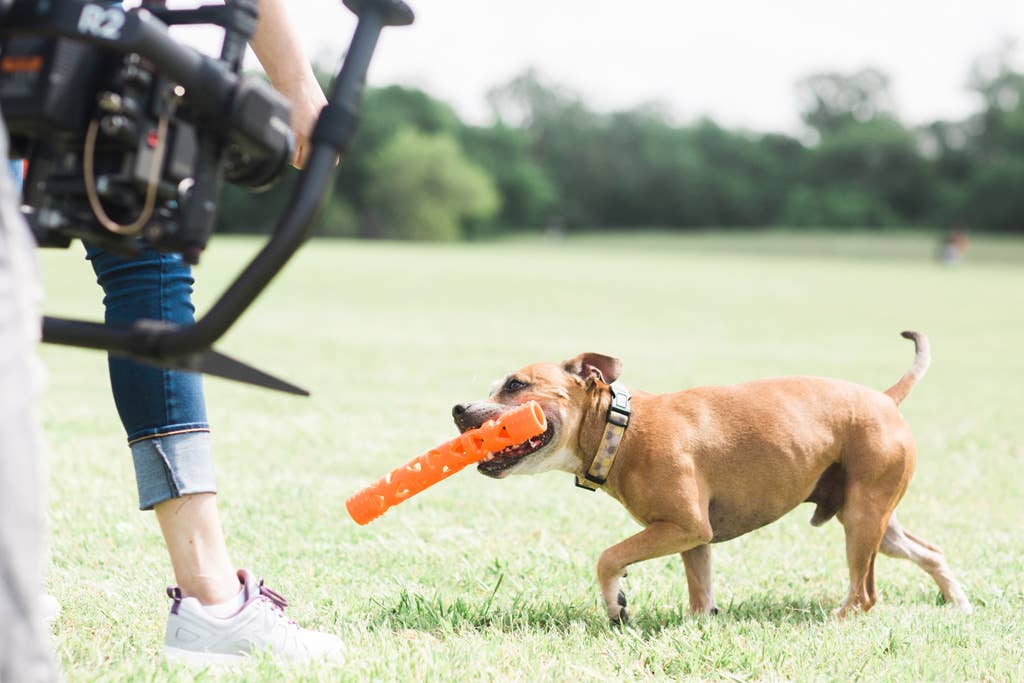 Chuckit! Bâton de Lancer Air Hofman Animal Care