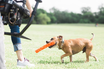 Chuckit! Bâton de Lancer Air Hofman Animal Care