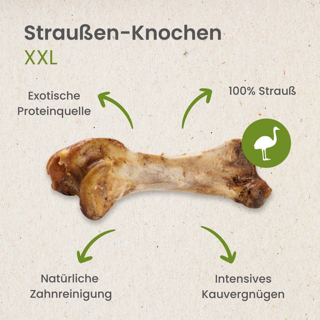 Os d'autruche XXL pour chien sans conservateurs