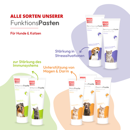 Pâte Apaisante PHA – Soutien naturel contre le stress 🐾100 ml Kauartikel.com GmbH