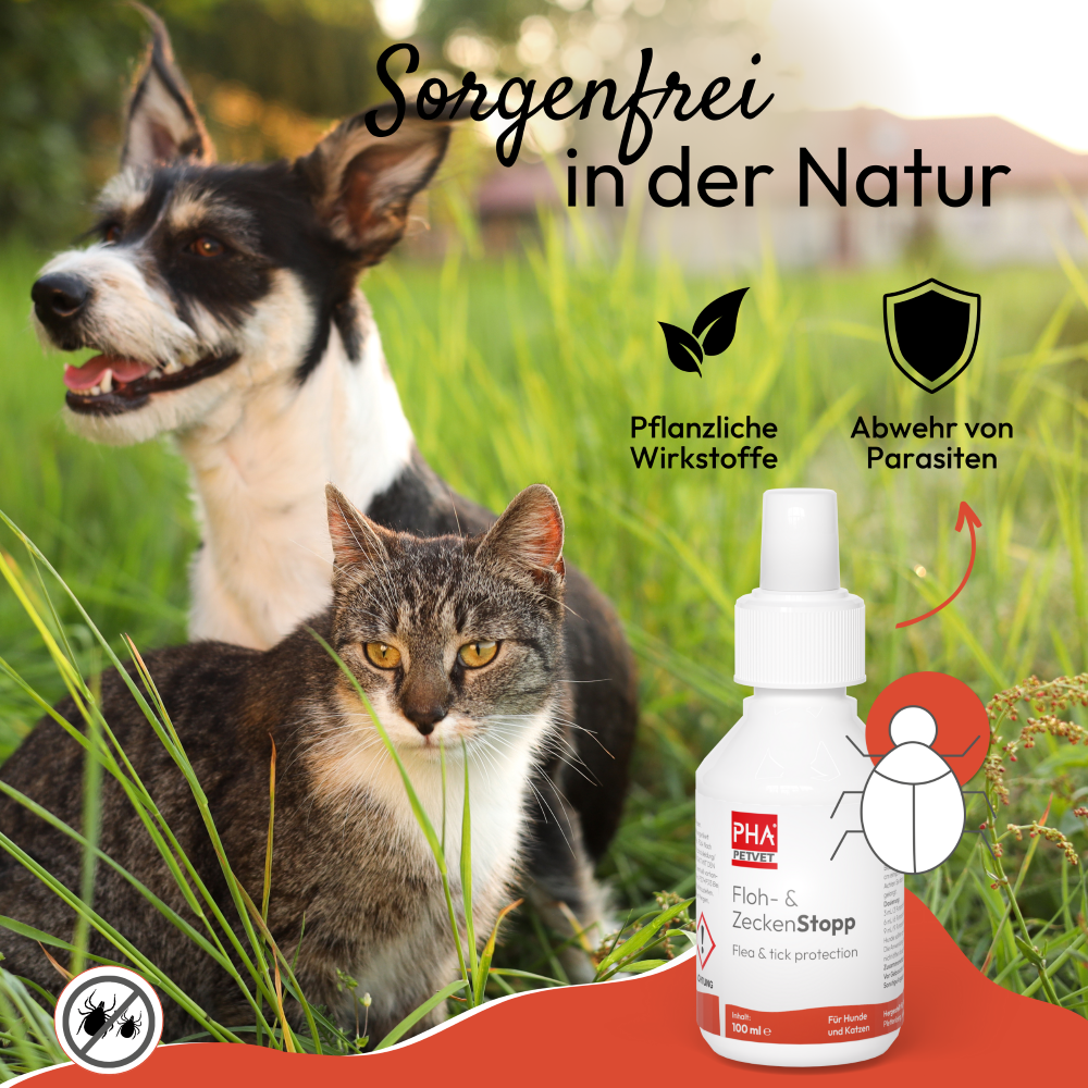 PHA spray anti-puces et tiques pour chiens et chats 100 ml Kauartikel.com GmbH