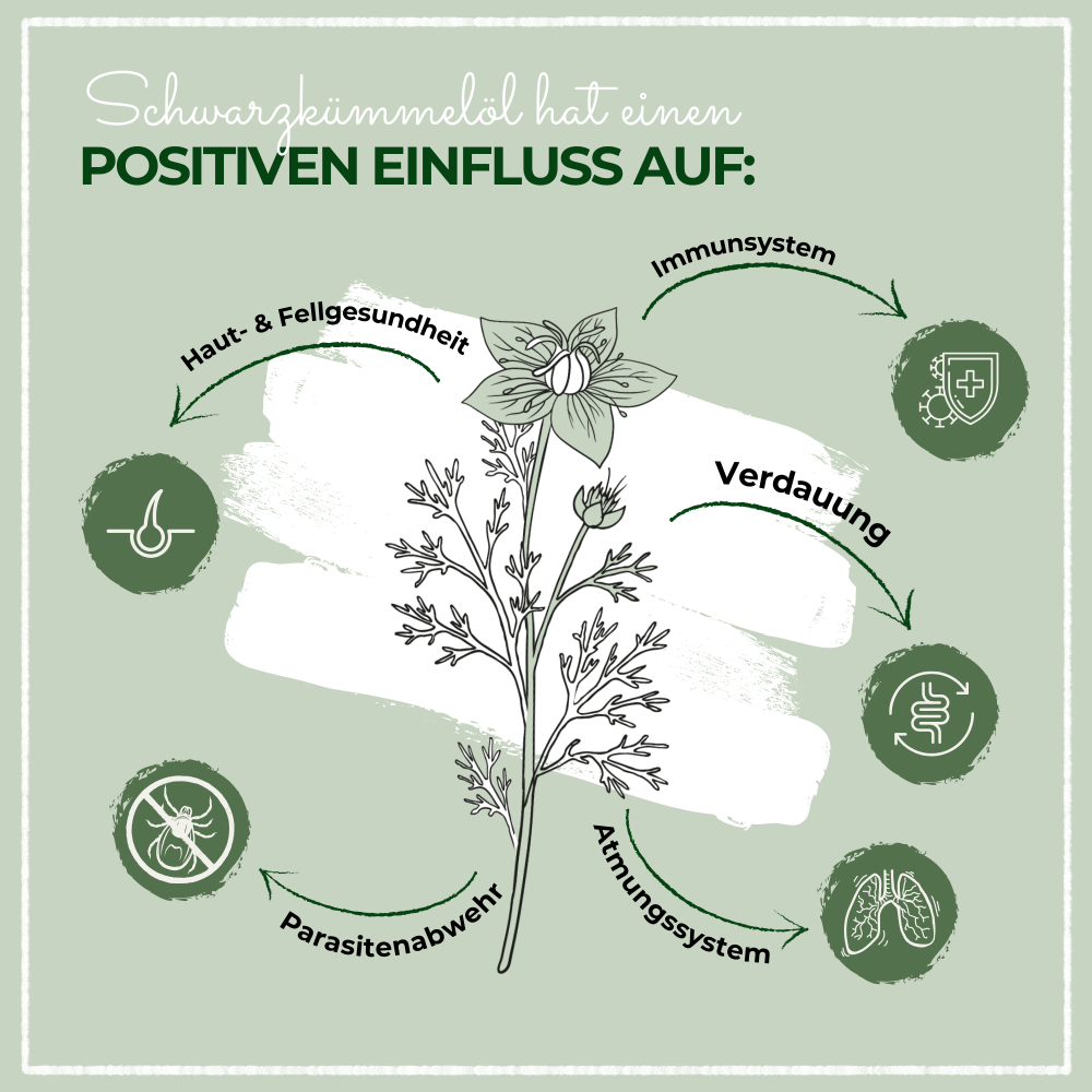 Huile biologique de cumin noir LaPura 100 ml Kauartikel.com GmbH