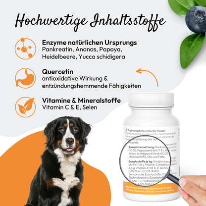PHA Dogenzyme Intestin Complément Alimentaire 100 comprimés Kauartikel.com GmbH
