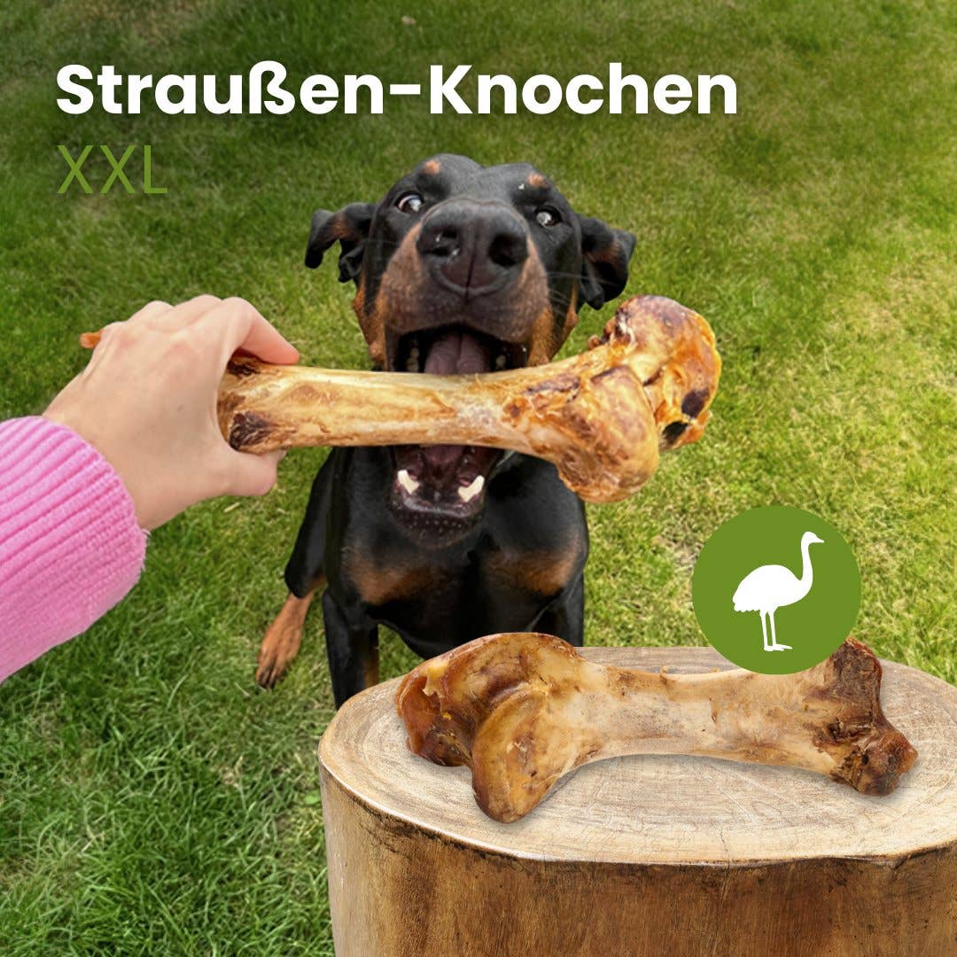 Os d'autruche XXL pour chien sans conservateurs