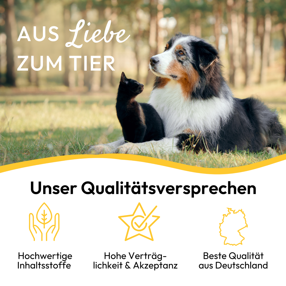 Protection des pattes PHA pour chiens et chats 125 ml Kauartikel.com GmbH