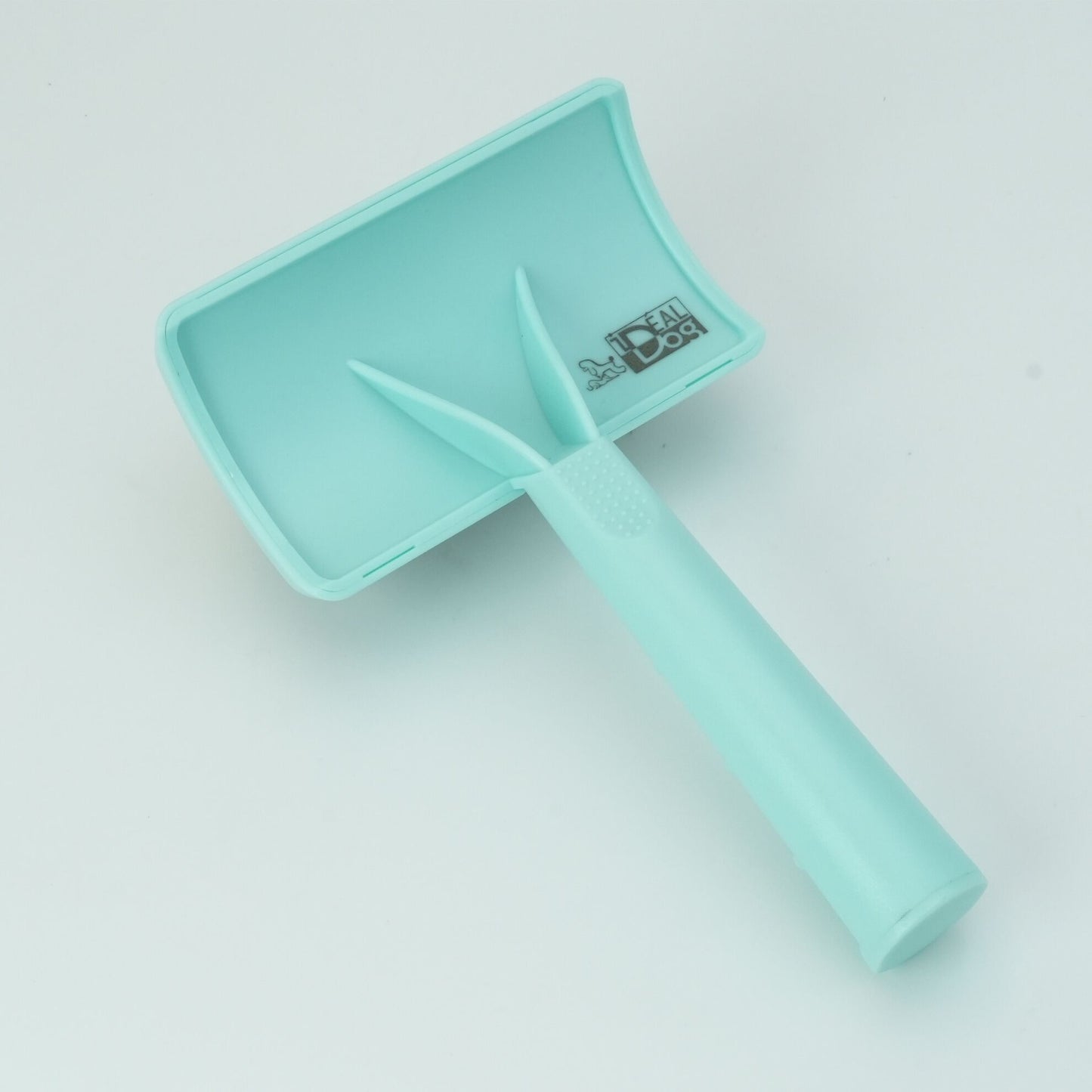 Carde Pastel bleue poils longs et denses Chadog - détail