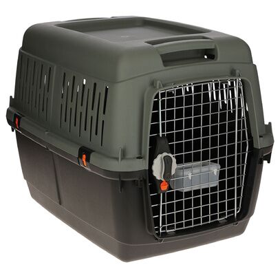 Box de transport IATA ECO grise et verte 92 x 64 x 67,5 cm Trufféo