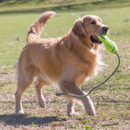 KONG Airdog® Fetch Stick taille L