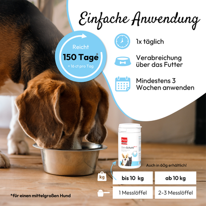 PHA protège-dents PLUS pour chiens et chats Kauartikel.com GmbH