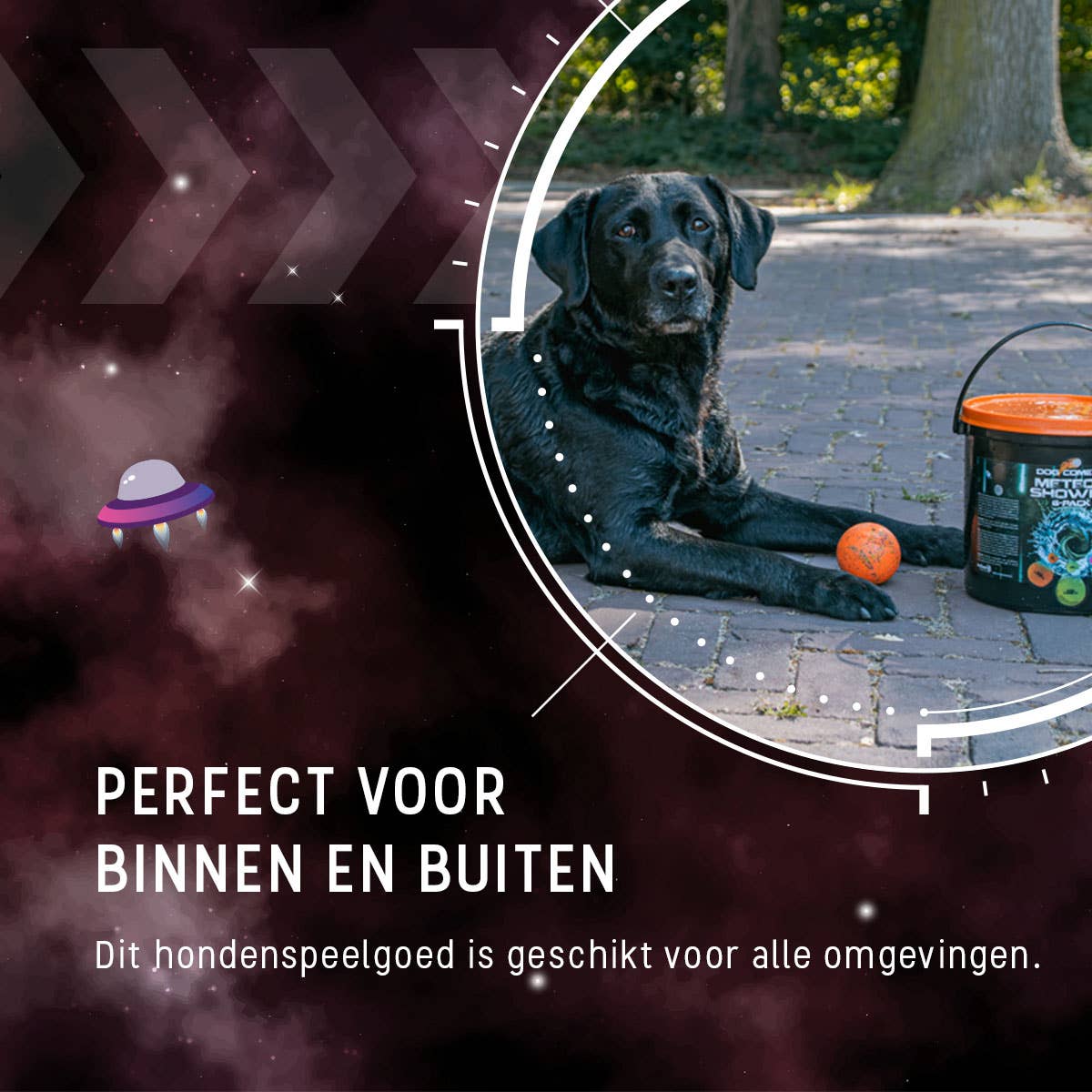 ☄️ Pluie de Météores Dog Comets – 6 Balles + Seau de Nettoyage Hofman Animal Care