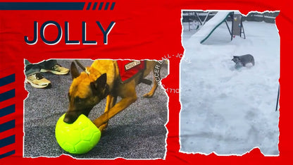Jolly Soccer Ball Red S (15 cm)