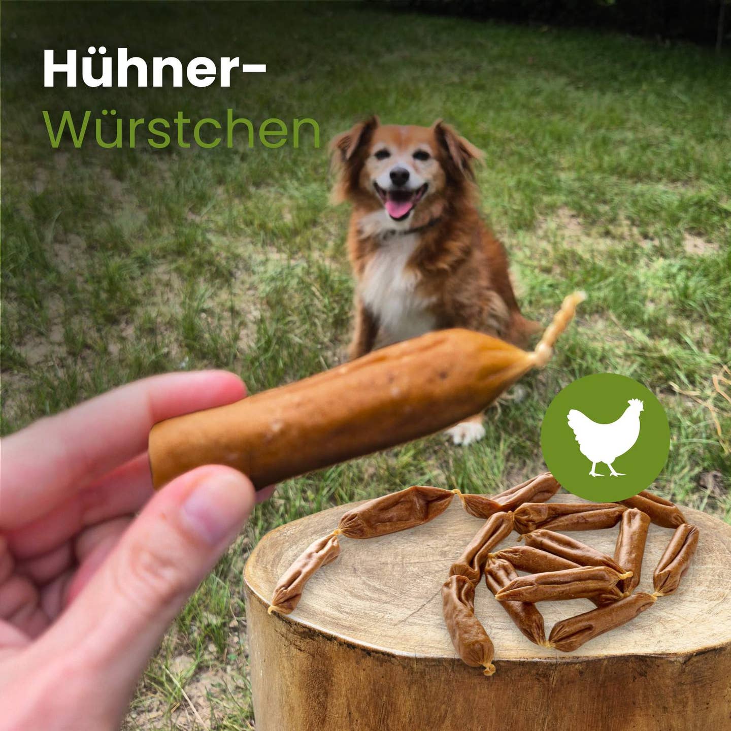Saucisses de poulet pour chiens sans conservateurs Kauartikel.com GmbH