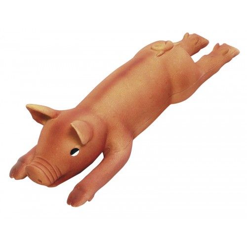 Latex Varken - Groot