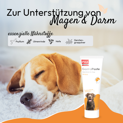 🌿 PHA GastroPaste pour chiens 100 ml