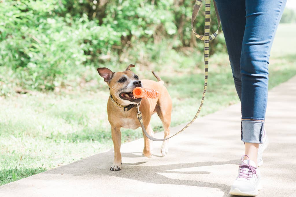 Chuckit! Bâton de Lancer Air Hofman Animal Care