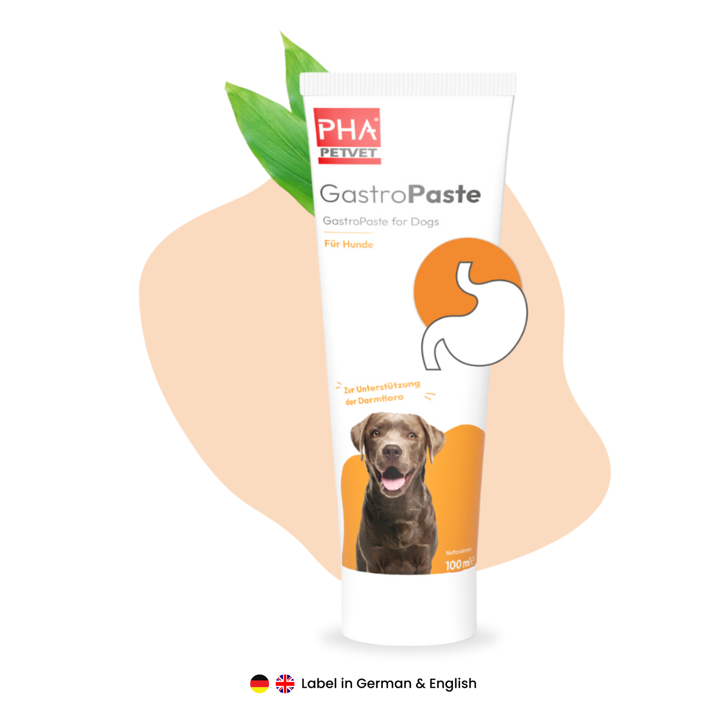 🌿 PHA GastroPaste pour chiens 100 ml