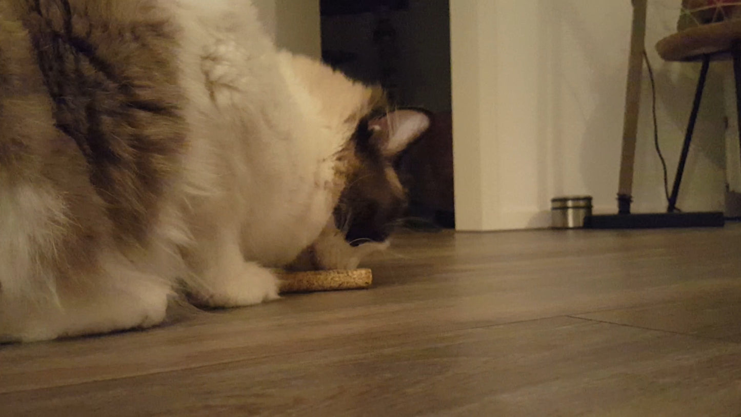 Addicted! Stick (2-Pack)