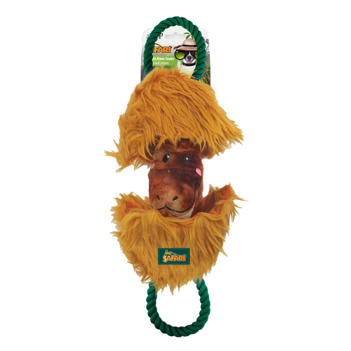 AFP Safari – Serpent de la jungle pour chien