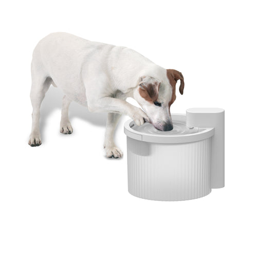 Fontaine à eau sans fil pour chien & chat – Hydratation intelligente 2.5L
