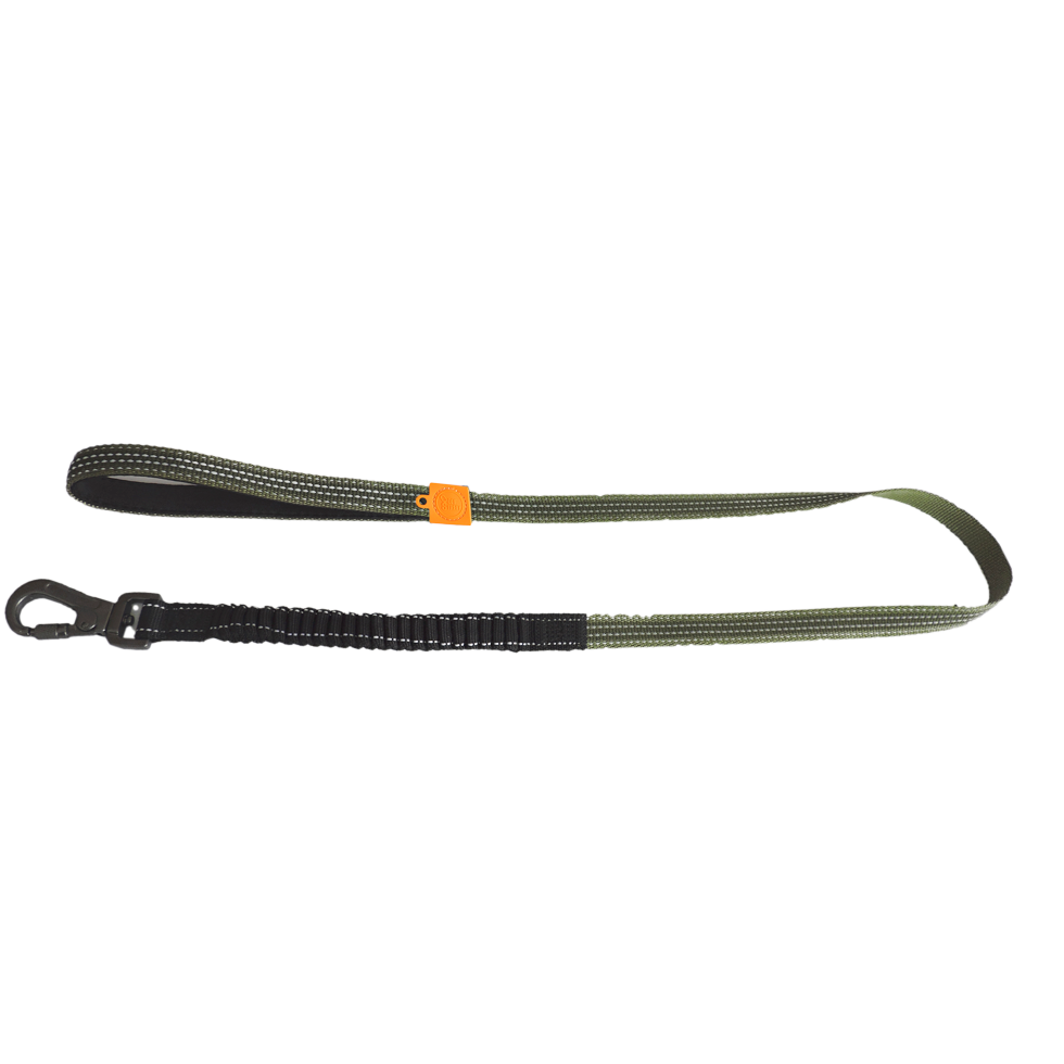 AFP Off Street - Dog Leash Olive Green M